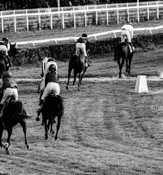 hugh taylor tips