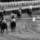 hugh taylor tips