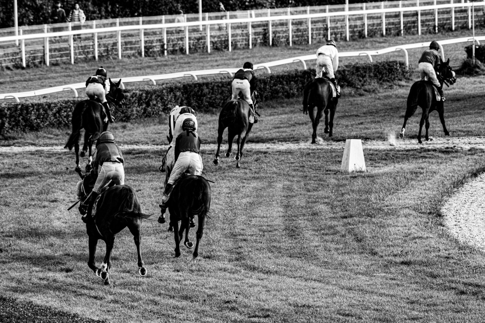 hugh taylor tips