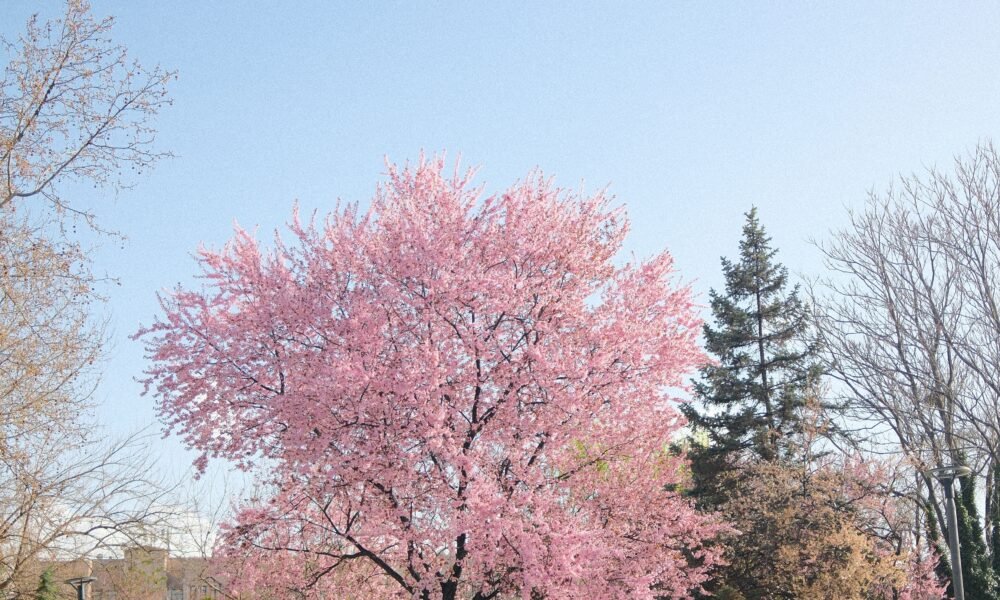 best places to visit in spring