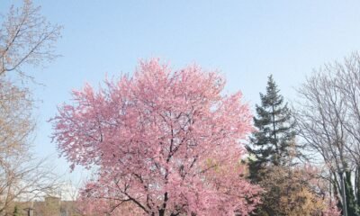 best places to visit in spring