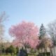 best places to visit in spring