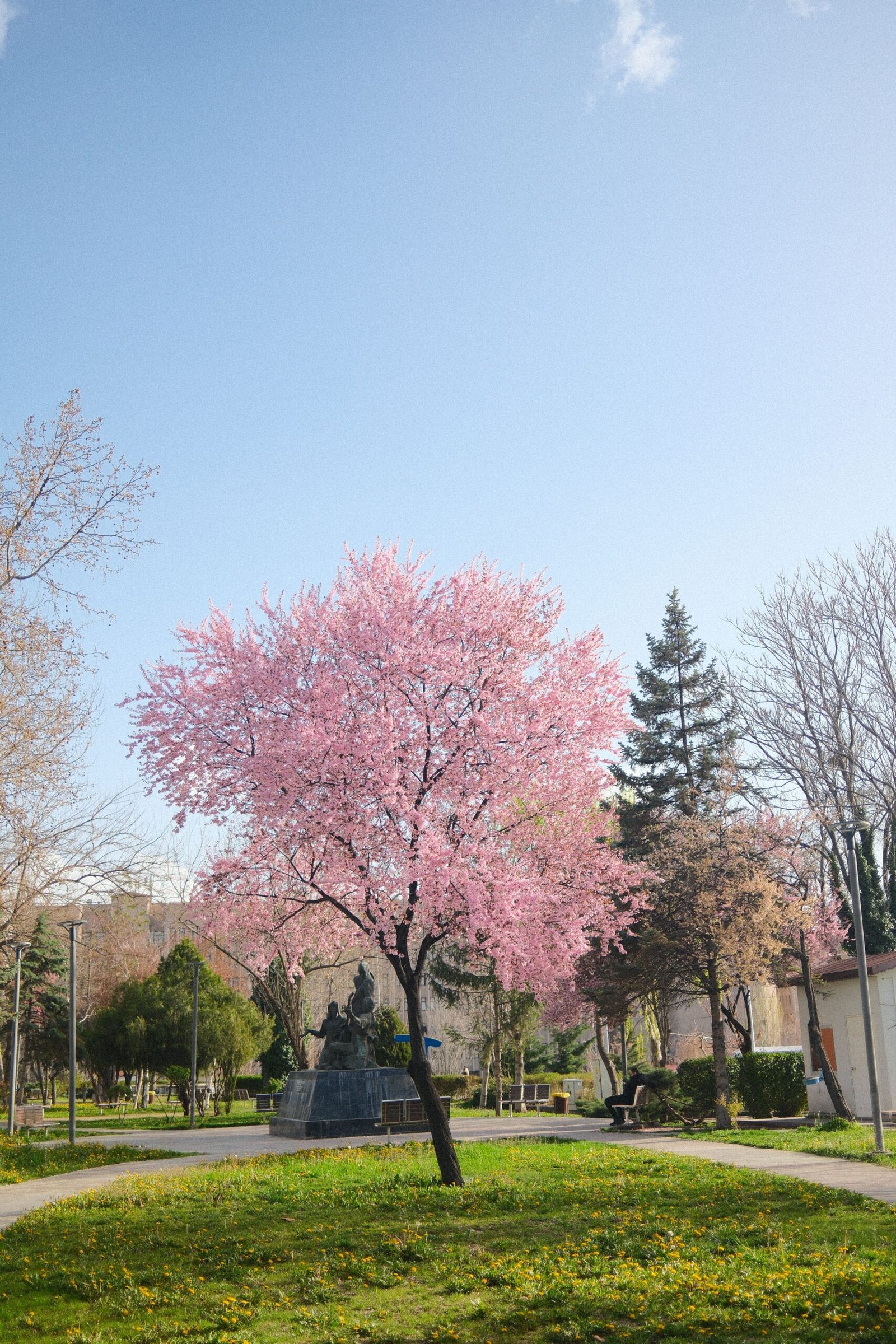 best places to visit in spring